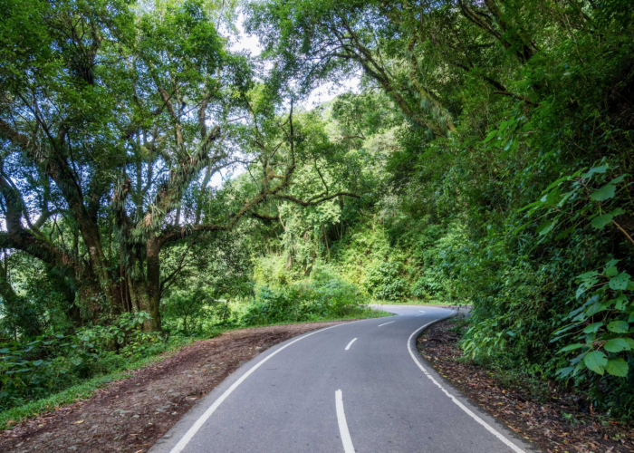 Straße in Nordargentinien Straße in Nordargentinien